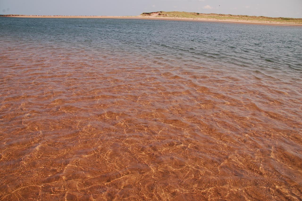 Goodview Cottages By Stanhope Beach Pei For Adults Only Esterno foto